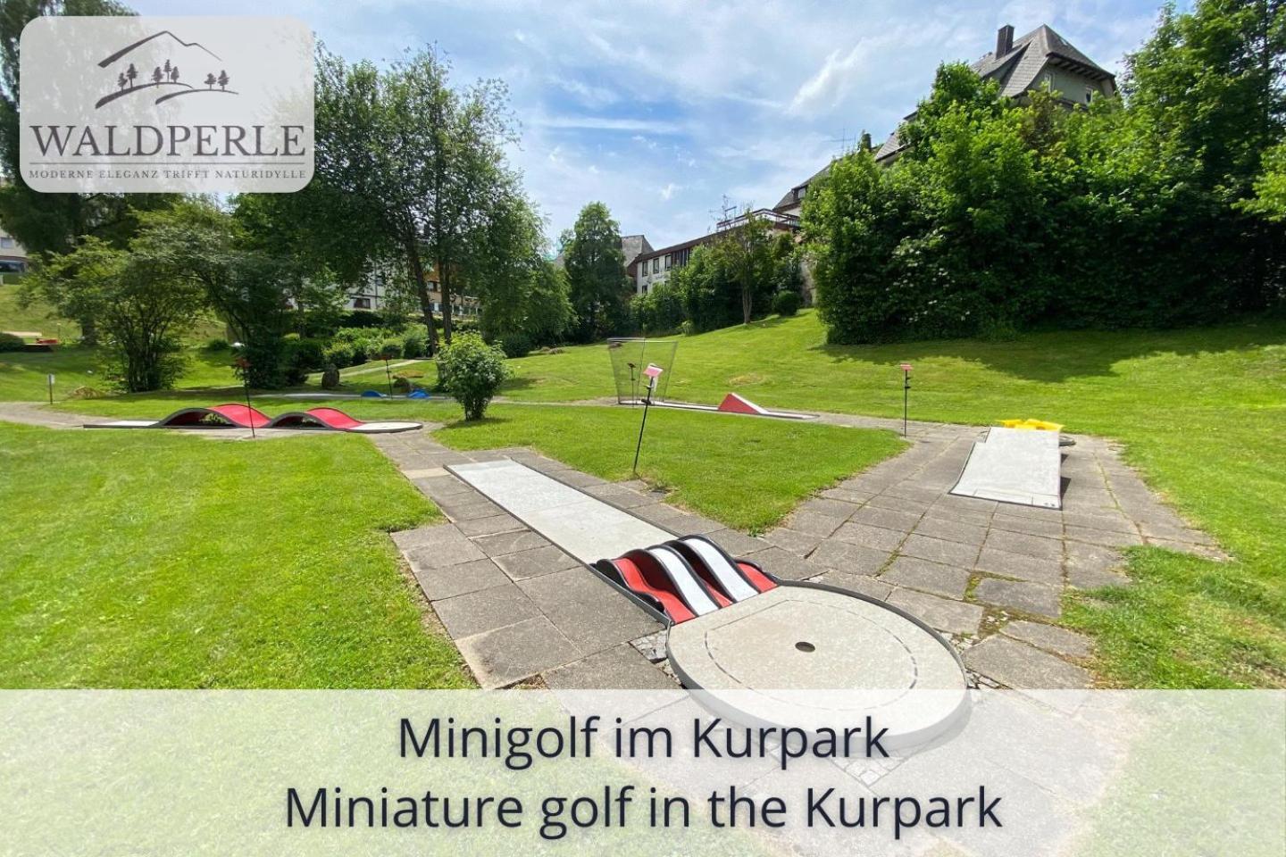 Exklusives 5-Sterne Apartment Waldperle Mit Indoor-Pool, Sauna, Top Lage Und Ausblick In Die Natur, Hunde Willkommen Schonach im Schwarzwald Zewnętrze zdjęcie