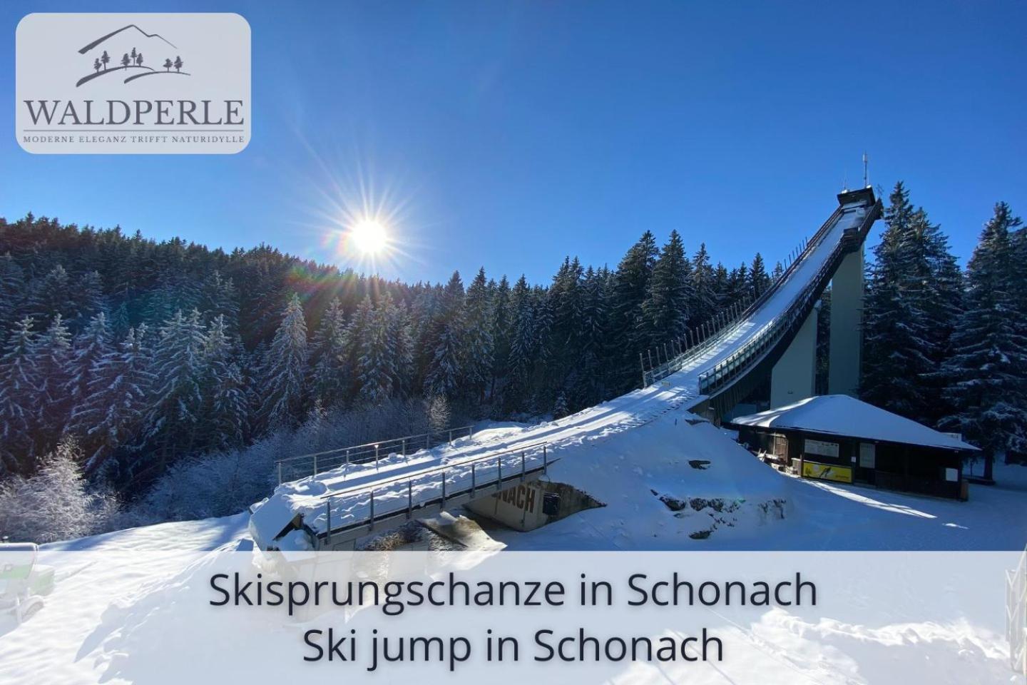 Exklusives 5-Sterne Apartment Waldperle Mit Indoor-Pool, Sauna, Top Lage Und Ausblick In Die Natur, Hunde Willkommen Schonach im Schwarzwald Zewnętrze zdjęcie