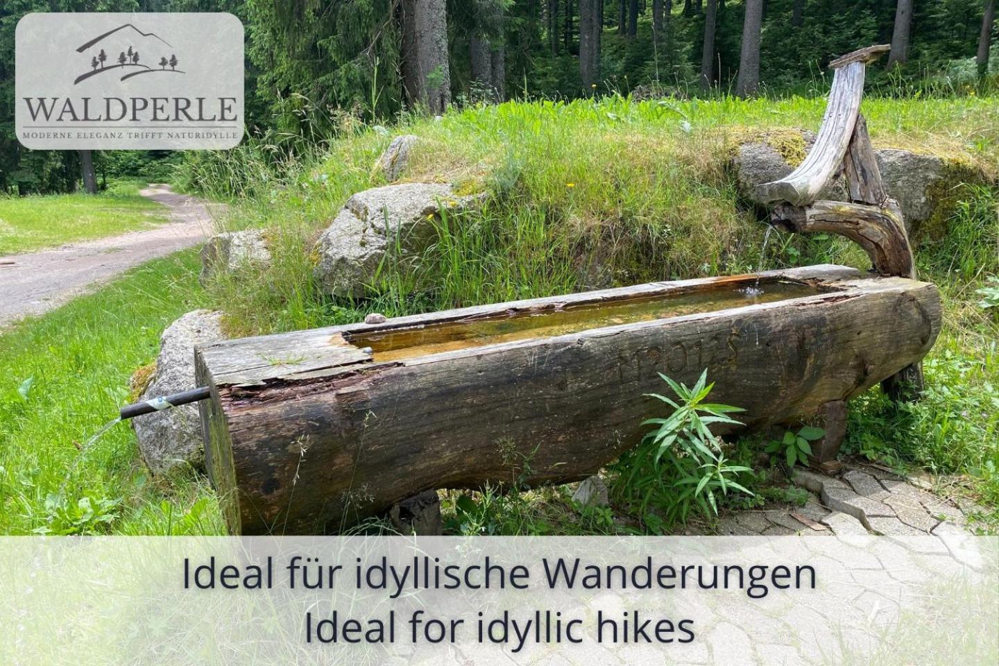 Exklusives 5-Sterne Apartment Waldperle Mit Indoor-Pool, Sauna, Top Lage Und Ausblick In Die Natur, Hunde Willkommen Schonach im Schwarzwald Zewnętrze zdjęcie