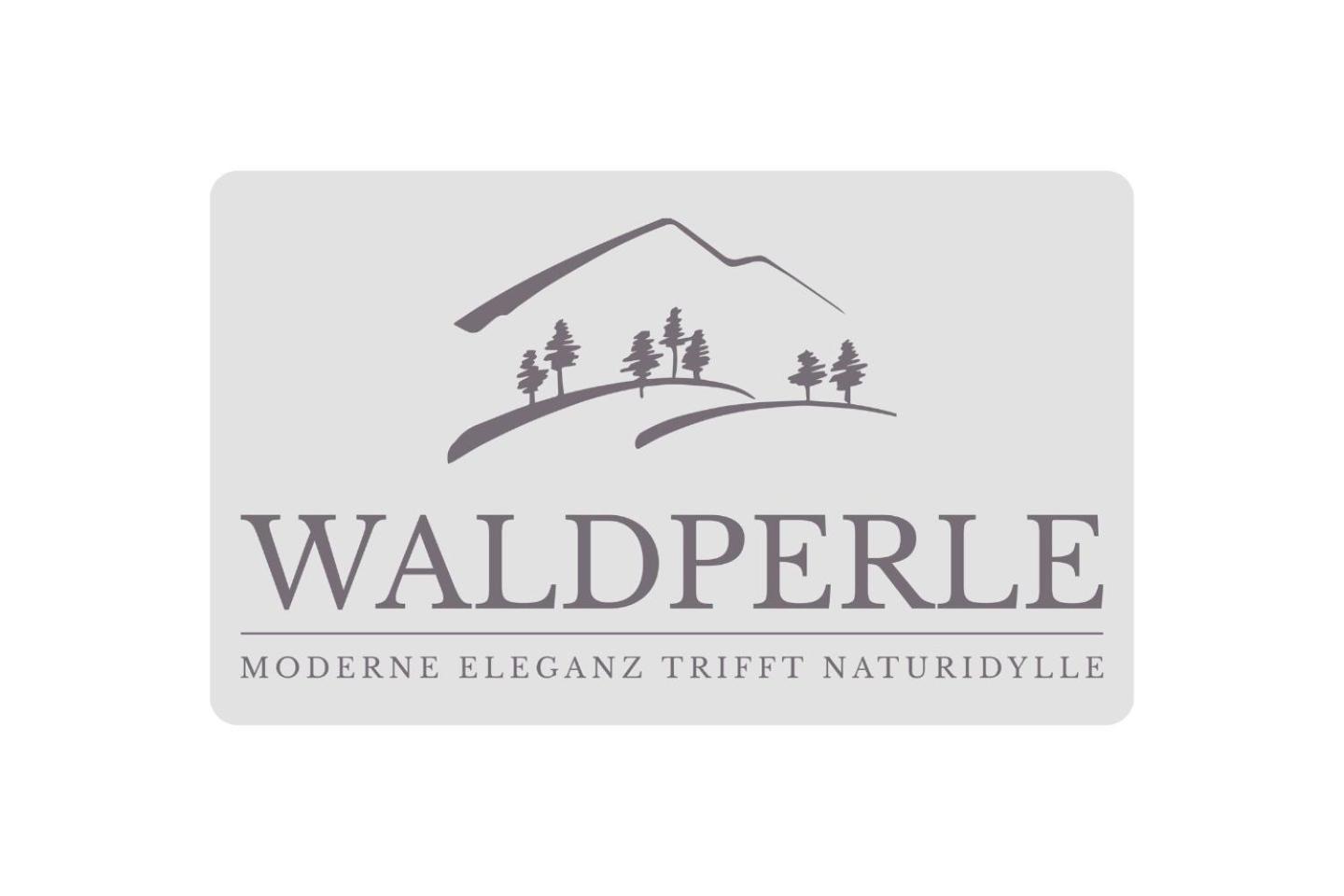 Exklusives 5-Sterne Apartment Waldperle Mit Indoor-Pool, Sauna, Top Lage Und Ausblick In Die Natur, Hunde Willkommen Schonach im Schwarzwald Zewnętrze zdjęcie