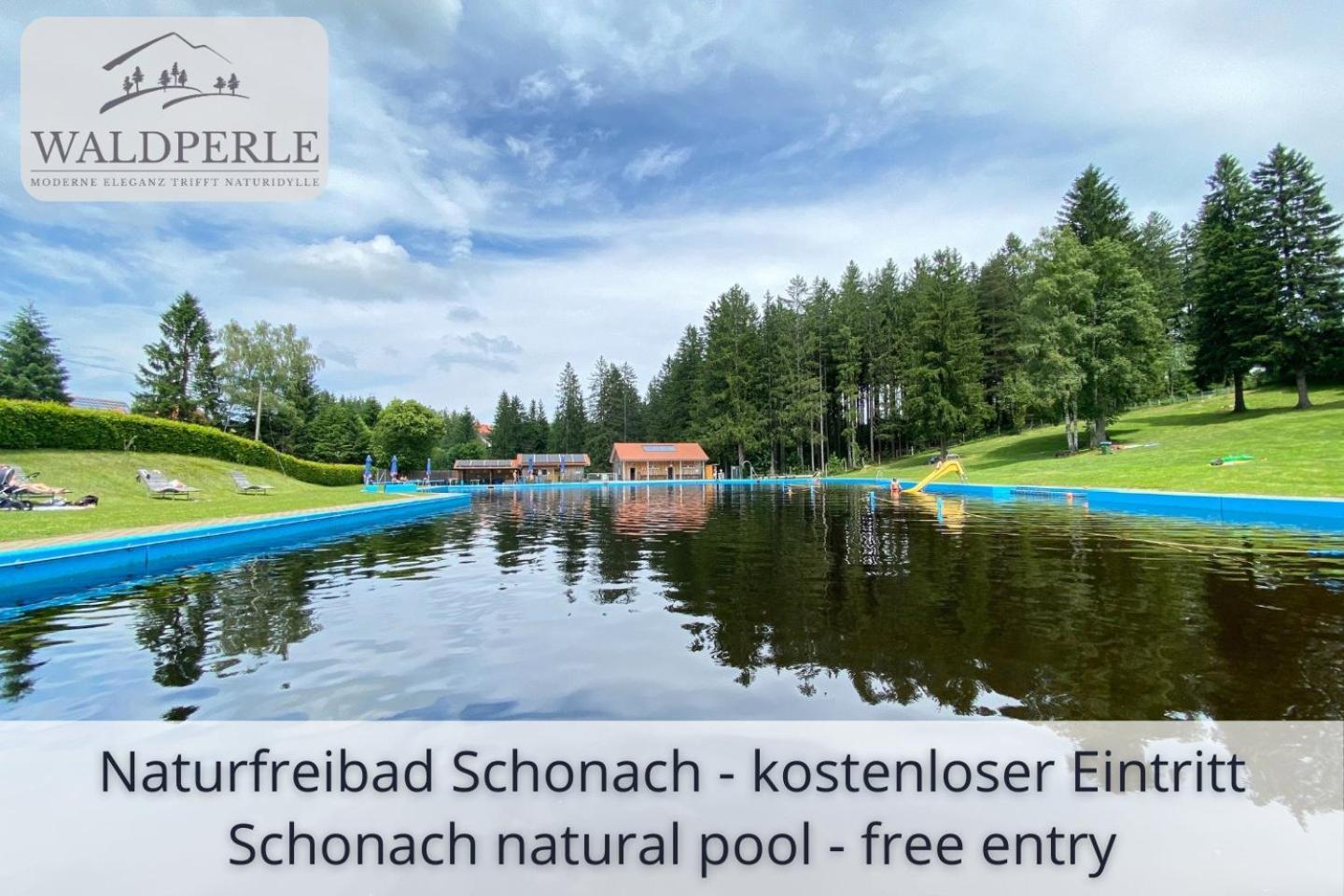 Exklusives 5-Sterne Apartment Waldperle Mit Indoor-Pool, Sauna, Top Lage Und Ausblick In Die Natur, Hunde Willkommen Schonach im Schwarzwald Zewnętrze zdjęcie