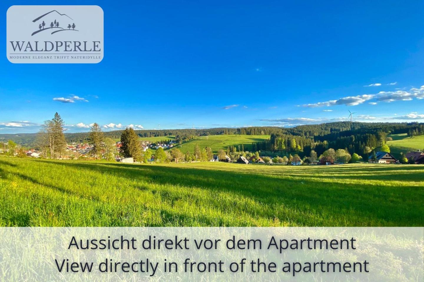 Exklusives 5-Sterne Apartment Waldperle Mit Indoor-Pool, Sauna, Top Lage Und Ausblick In Die Natur, Hunde Willkommen Schonach im Schwarzwald Zewnętrze zdjęcie