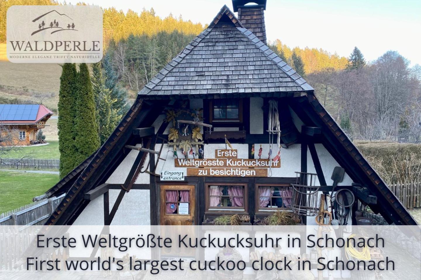 Exklusives 5-Sterne Apartment Waldperle Mit Indoor-Pool, Sauna, Top Lage Und Ausblick In Die Natur, Hunde Willkommen Schonach im Schwarzwald Zewnętrze zdjęcie