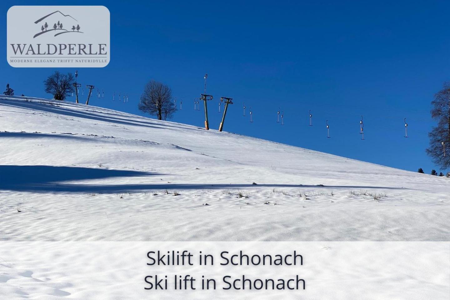 Exklusives 5-Sterne Apartment Waldperle Mit Indoor-Pool, Sauna, Top Lage Und Ausblick In Die Natur, Hunde Willkommen Schonach im Schwarzwald Zewnętrze zdjęcie