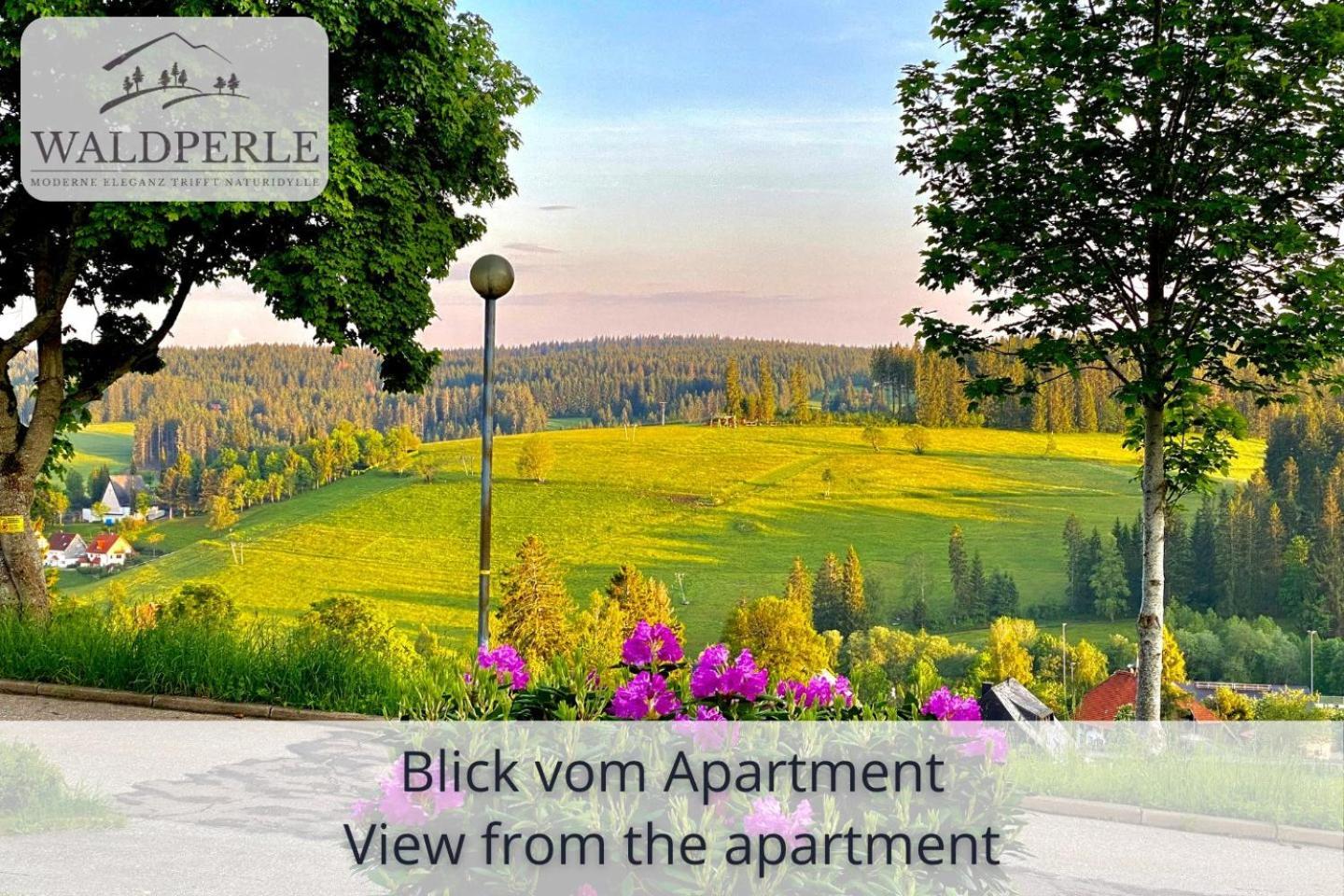 Exklusives 5-Sterne Apartment Waldperle Mit Indoor-Pool, Sauna, Top Lage Und Ausblick In Die Natur, Hunde Willkommen Schonach im Schwarzwald Zewnętrze zdjęcie