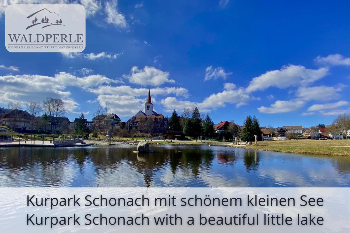 Exklusives 5-Sterne Apartment Waldperle Mit Indoor-Pool, Sauna, Top Lage Und Ausblick In Die Natur, Hunde Willkommen Schonach im Schwarzwald Zewnętrze zdjęcie