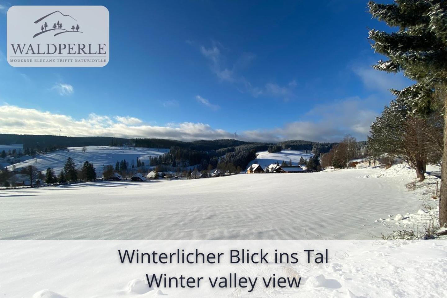Exklusives 5-Sterne Apartment Waldperle Mit Indoor-Pool, Sauna, Top Lage Und Ausblick In Die Natur, Hunde Willkommen Schonach im Schwarzwald Zewnętrze zdjęcie